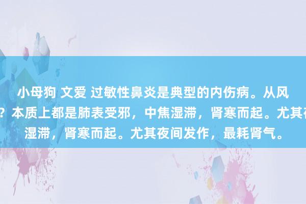 小母狗 文爱 过敏性鼻炎是典型的内伤病。从风而治，如故从寒而治？本质上都是肺表受邪，中焦湿滞，肾寒而起。尤其夜间发作，最耗肾气。