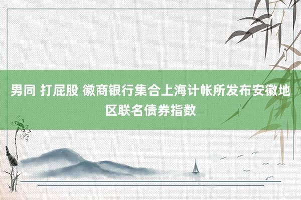 男同 打屁股 徽商银行集合上海计帐所发布安徽地区联名债券指数