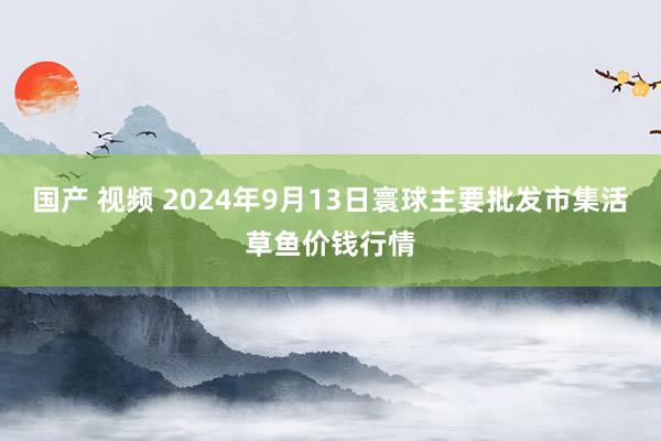 国产 视频 2024年9月13日寰球主要批发市集活草鱼价钱行情