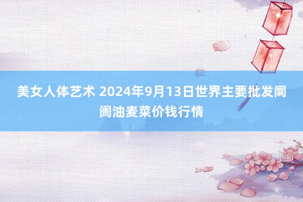 美女人体艺术 2024年9月13日世界主要批发阛阓油麦菜价钱行情