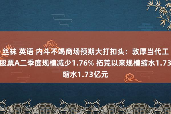 丝袜 英语 内斗不竭商场预期大打扣头：敦厚当代工功课股票A二季度规模减少1.76% 拓荒以来规模缩水1.73亿元