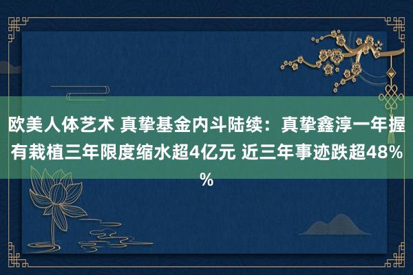 欧美人体艺术 真挚基金内斗陆续：真挚鑫淳一年握有栽植三年限度缩水超4亿元 近三年事迹跌超48%