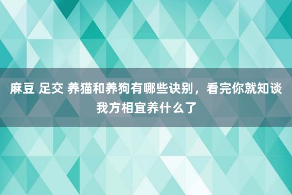 麻豆 足交 养猫和养狗有哪些诀别，看完你就知谈我方相宜养什么了