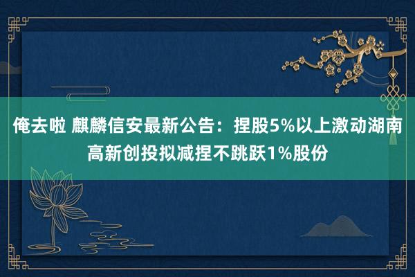 俺去啦 麒麟信安最新公告：捏股5%以上激动湖南高新创投拟减捏不跳跃1%股份