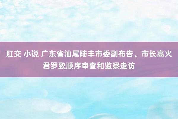 肛交 小说 广东省汕尾陆丰市委副布告、市长高火君罗致顺序审查和监察走访