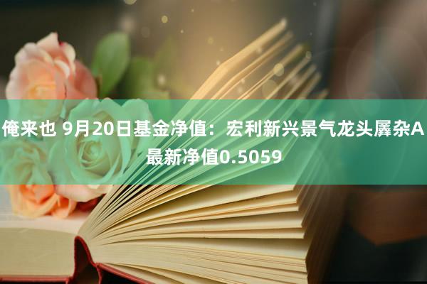 俺来也 9月20日基金净值：宏利新兴景气龙头羼杂A最新净值0.5059