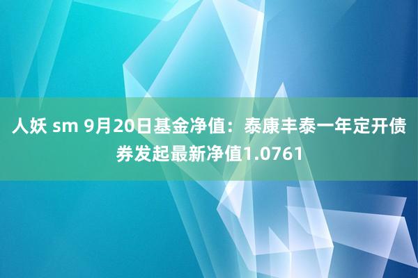 人妖 sm 9月20日基金净值：泰康丰泰一年定开债券发起最新净值1.0761