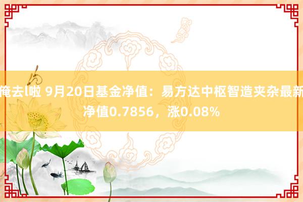 俺去l啦 9月20日基金净值：易方达中枢智造夹杂最新净值0.7856，涨0.08%