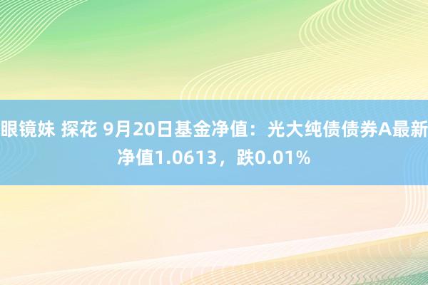 眼镜妹 探花 9月20日基金净值：光大纯债债券A最新净值1.0613，跌0.01%