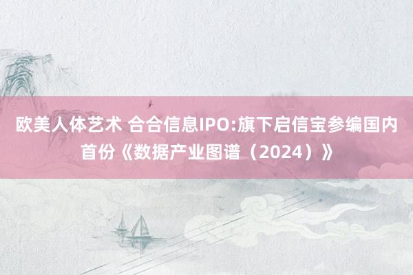 欧美人体艺术 合合信息IPO:旗下启信宝参编国内首份《数据产业图谱（2024）》