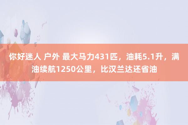 你好迷人 户外 最大马力431匹，油耗5.1升，满油续航1250公里，比汉兰达还省油