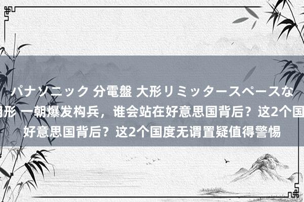 パナソニック 分電盤 大形リミッタースペースなし 露出・半埋込両用形 一朝爆发构兵，谁会站在好意思国背后？这2个国度无谓置疑值得警惕