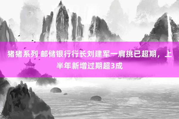 猪猪系列 邮储银行行长刘建军一肩挑已超期，上半年新增过期超3成