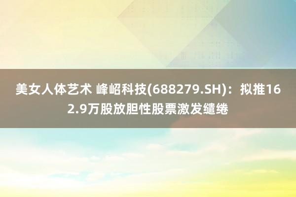 美女人体艺术 峰岹科技(688279.SH)：拟推162.9万股放胆性股票激发缱绻