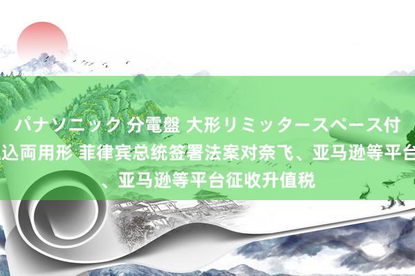 パナソニック 分電盤 大形リミッタースペース付 露出・半埋込両用形 菲律宾总统签署法案对奈飞、亚马逊等平台征收升值税