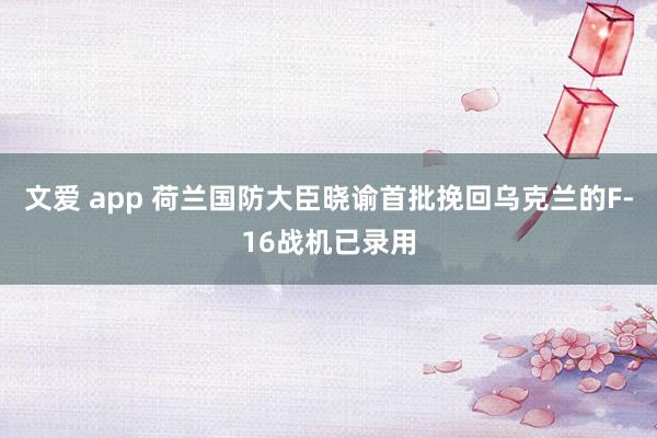 文爱 app 荷兰国防大臣晓谕首批挽回乌克兰的F-16战机已录用