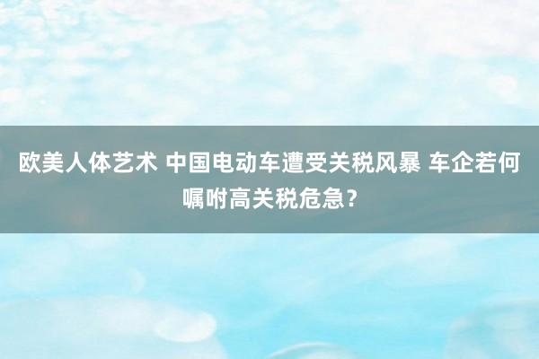 欧美人体艺术 中国电动车遭受关税风暴 车企若何嘱咐高关税危急？