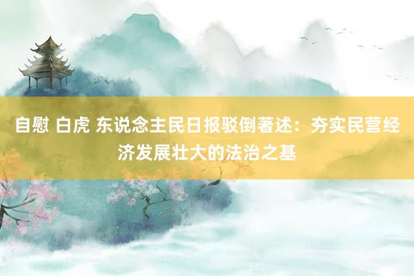 自慰 白虎 东说念主民日报驳倒著述：夯实民营经济发展壮大的法治之基