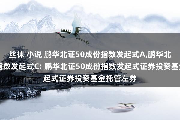 丝袜 小说 鹏华北证50成份指数发起式A，鹏华北证50成份指数发起式C: 鹏华北证50成份指数发起式证券投资基金托管左券