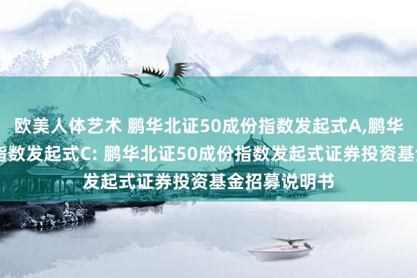 欧美人体艺术 鹏华北证50成份指数发起式A，鹏华北证50成份指数发起式C: 鹏华北证50成份指数发起式证券投资基金招募说明书