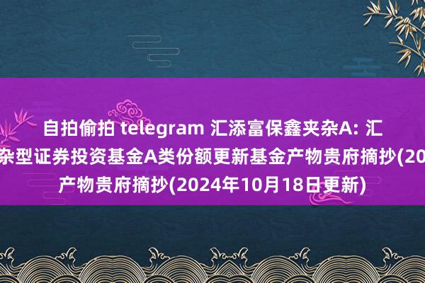 自拍偷拍 telegram 汇添富保鑫夹杂A: 汇添富保鑫生动设立夹杂型证券投资基金A类份额更新基金产物贵府摘抄(2024年10月18日更新)