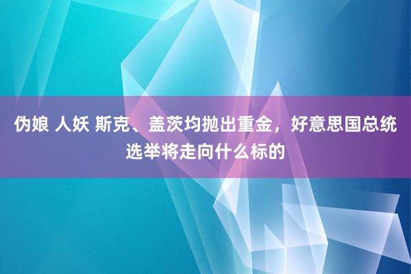 伪娘 人妖 斯克、盖茨均抛出重金，好意思国总统选举将走向什么标的