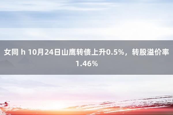 女同 h 10月24日山鹰转债上升0.5%，转股溢价率1.46%