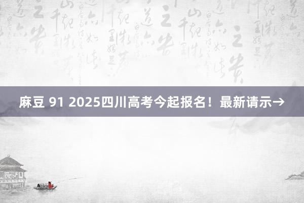 麻豆 91 2025四川高考今起报名！最新请示→