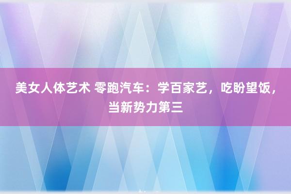 美女人体艺术 零跑汽车：学百家艺，吃盼望饭，当新势力第三