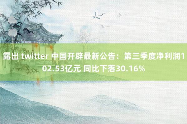 露出 twitter 中国开辟最新公告：第三季度净利润102.53亿元 同比下落30.16%