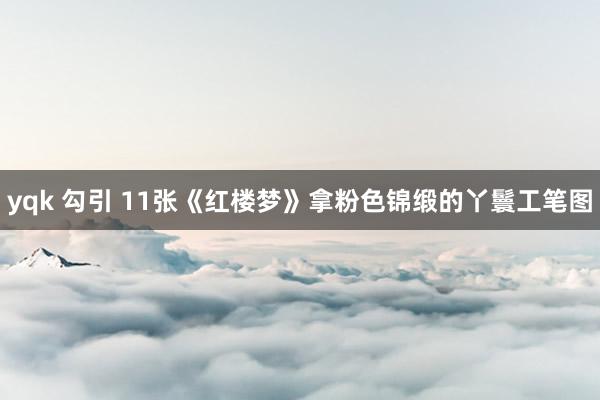 yqk 勾引 11张《红楼梦》拿粉色锦缎的丫鬟工笔图