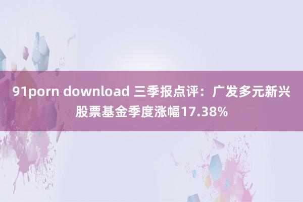 91porn download 三季报点评：广发多元新兴股票基金季度涨幅17.38%