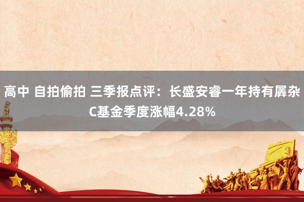 高中 自拍偷拍 三季报点评：长盛安睿一年持有羼杂C基金季度涨幅4.28%