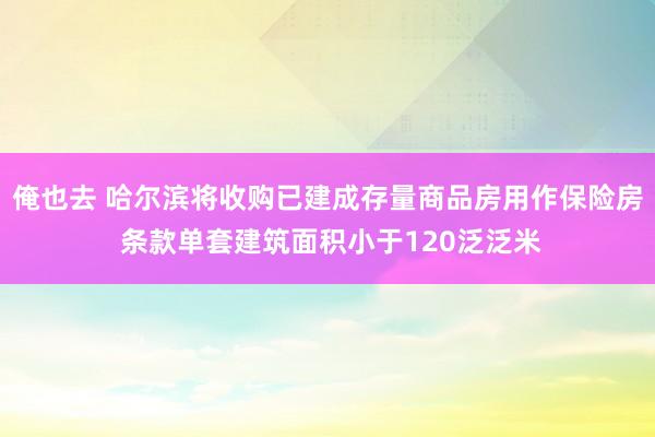 俺也去 哈尔滨将收购已建成存量商品房用作保险房 条款单套建筑面积小于120泛泛米