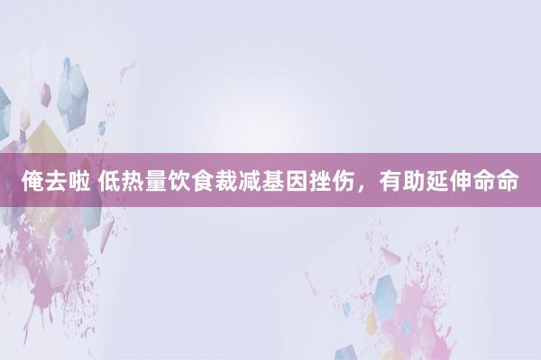 俺去啦 低热量饮食裁减基因挫伤，有助延伸命命