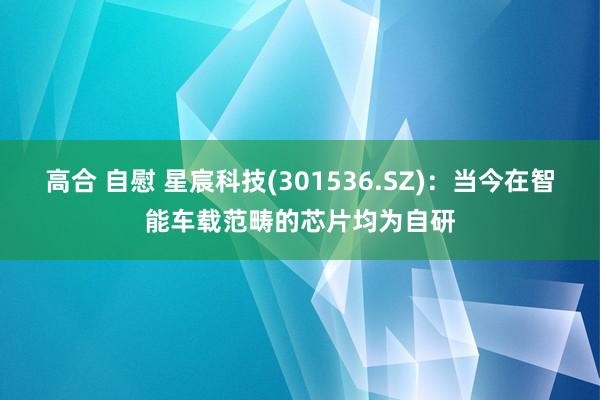 高合 自慰 星宸科技(301536.SZ)：当今在智能车载范畴的芯片均为自研