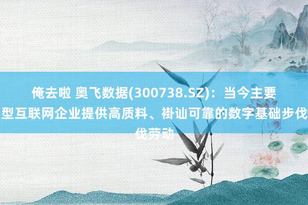 俺去啦 奥飞数据(300738.SZ)：当今主要为大型互联网企业提供高质料、褂讪可靠的数字基础步伐劳动