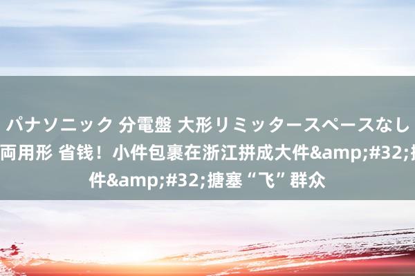 パナソニック 分電盤 大形リミッタースペースなし 露出・半埋込両用形 省钱！小件包裹在浙江拼成大件&#32;搪塞“飞”群众