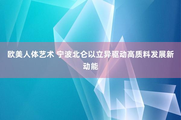 欧美人体艺术 宁波北仑以立异驱动高质料发展新动能