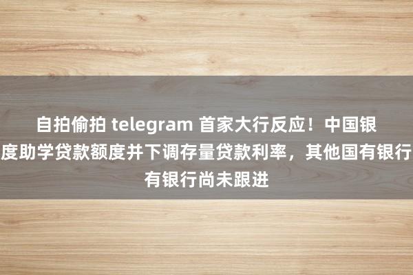 自拍偷拍 telegram 首家大行反应！中国银行上调国度助学贷款额度并下调存量贷款利率，其他国有银行尚未跟进