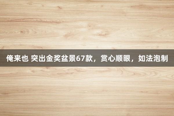 俺来也 突出金奖盆景67款，赏心顺眼，如法泡制