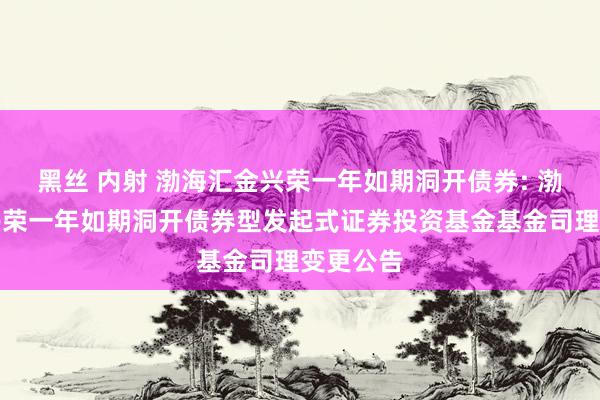 黑丝 内射 渤海汇金兴荣一年如期洞开债券: 渤海汇金兴荣一年如期洞开债券型发起式证券投资基金基金司理变更公告