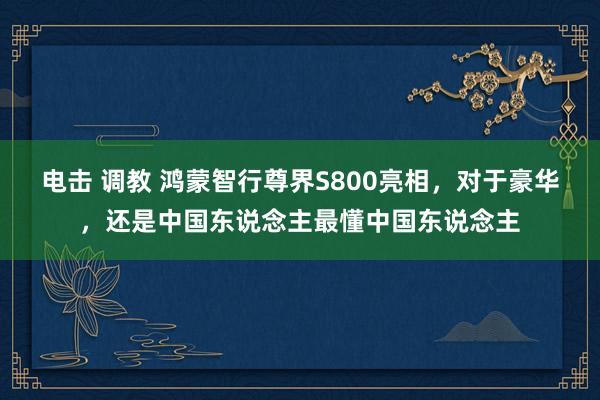 电击 调教 鸿蒙智行尊界S800亮相，对于豪华，还是中国东说念主最懂中国东说念主