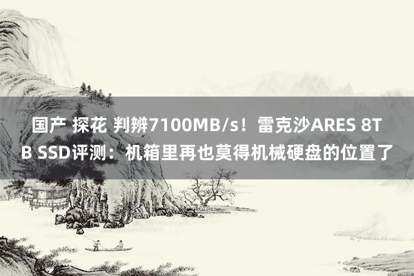 国产 探花 判辨7100MB/s！雷克沙ARES 8TB SSD评测：机箱里再也莫得机械硬盘的位置了