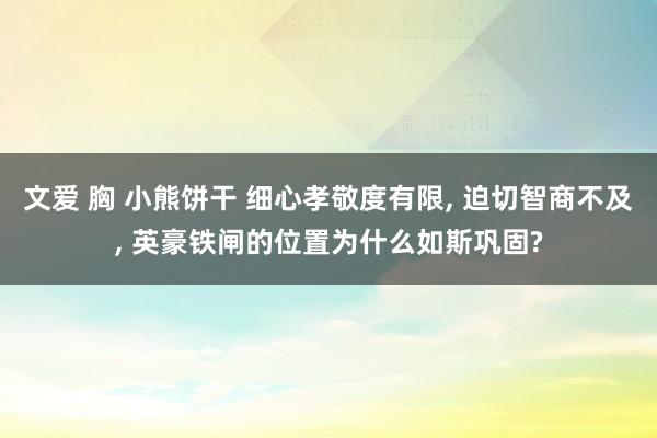 文爱 胸 小熊饼干 细心孝敬度有限， 迫切智商不及， 英豪铁闸的位置为什么如斯巩固?