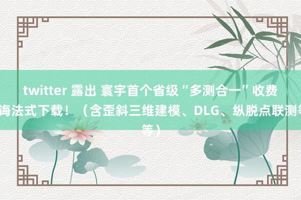 twitter 露出 寰宇首个省级“多测合一”收费训诲法式下载！（含歪斜三维建模、DLG、纵脱点联测等）