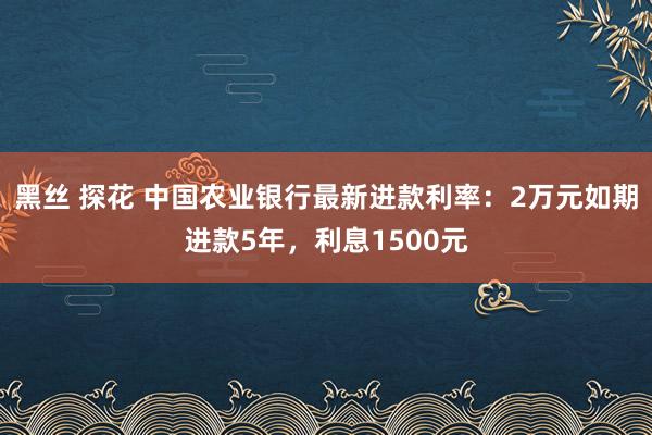 黑丝 探花 中国农业银行最新进款利率：2万元如期进款5年，利息1500元