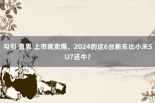 勾引 直男 上市就卖爆，2024的这6台新车比小米SU7还牛？