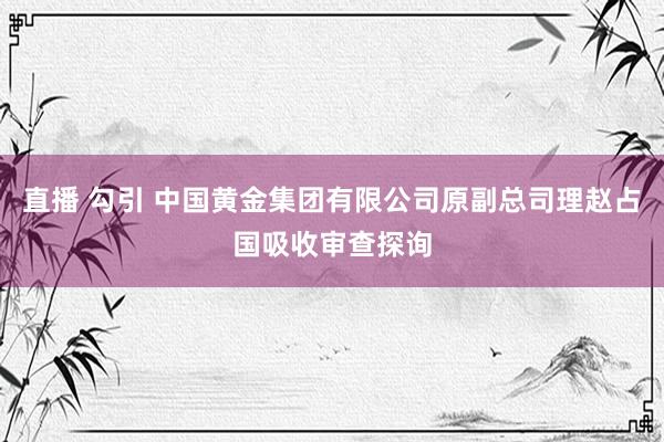 直播 勾引 中国黄金集团有限公司原副总司理赵占国吸收审查探询