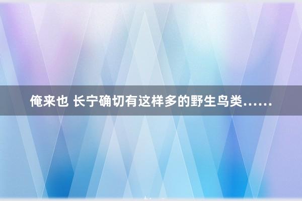 俺来也 长宁确切有这样多的野生鸟类……